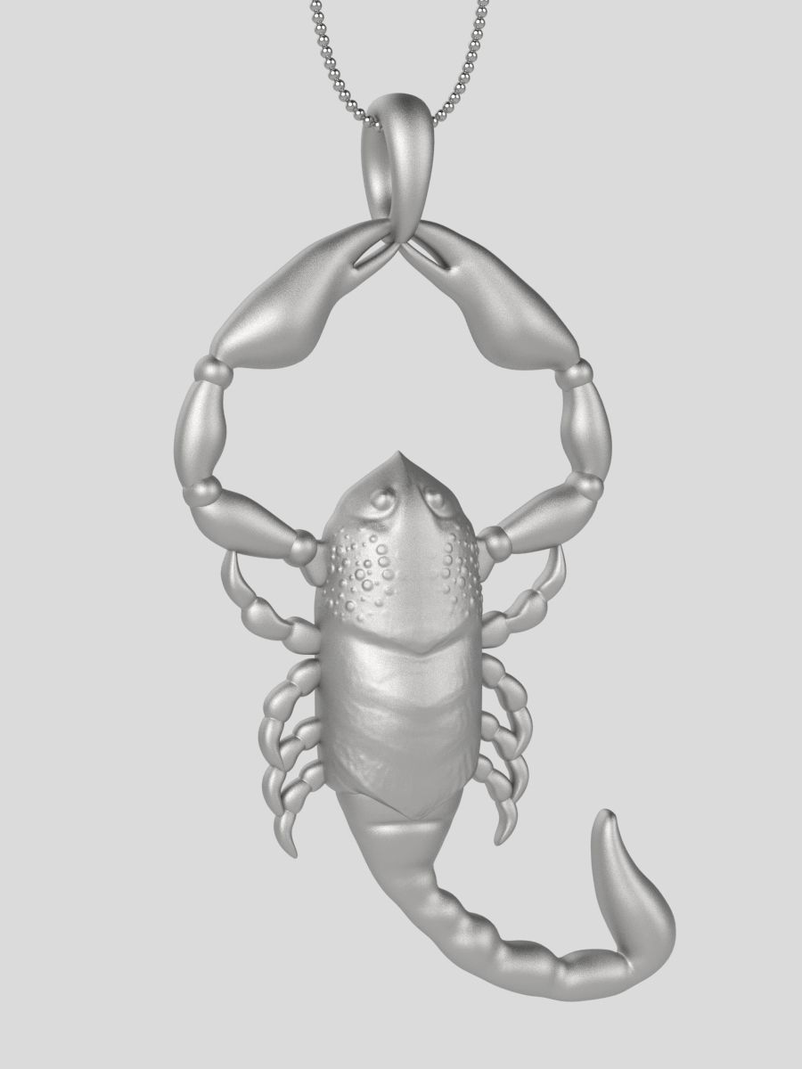 Zodiac Scorpio 3D print model_13