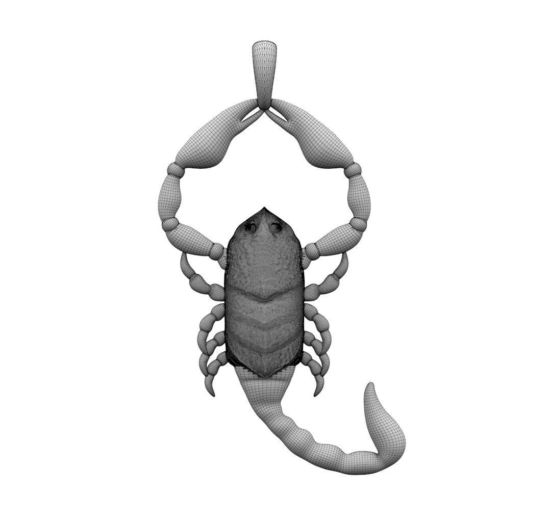 Zodiac Scorpio 3D print model_3