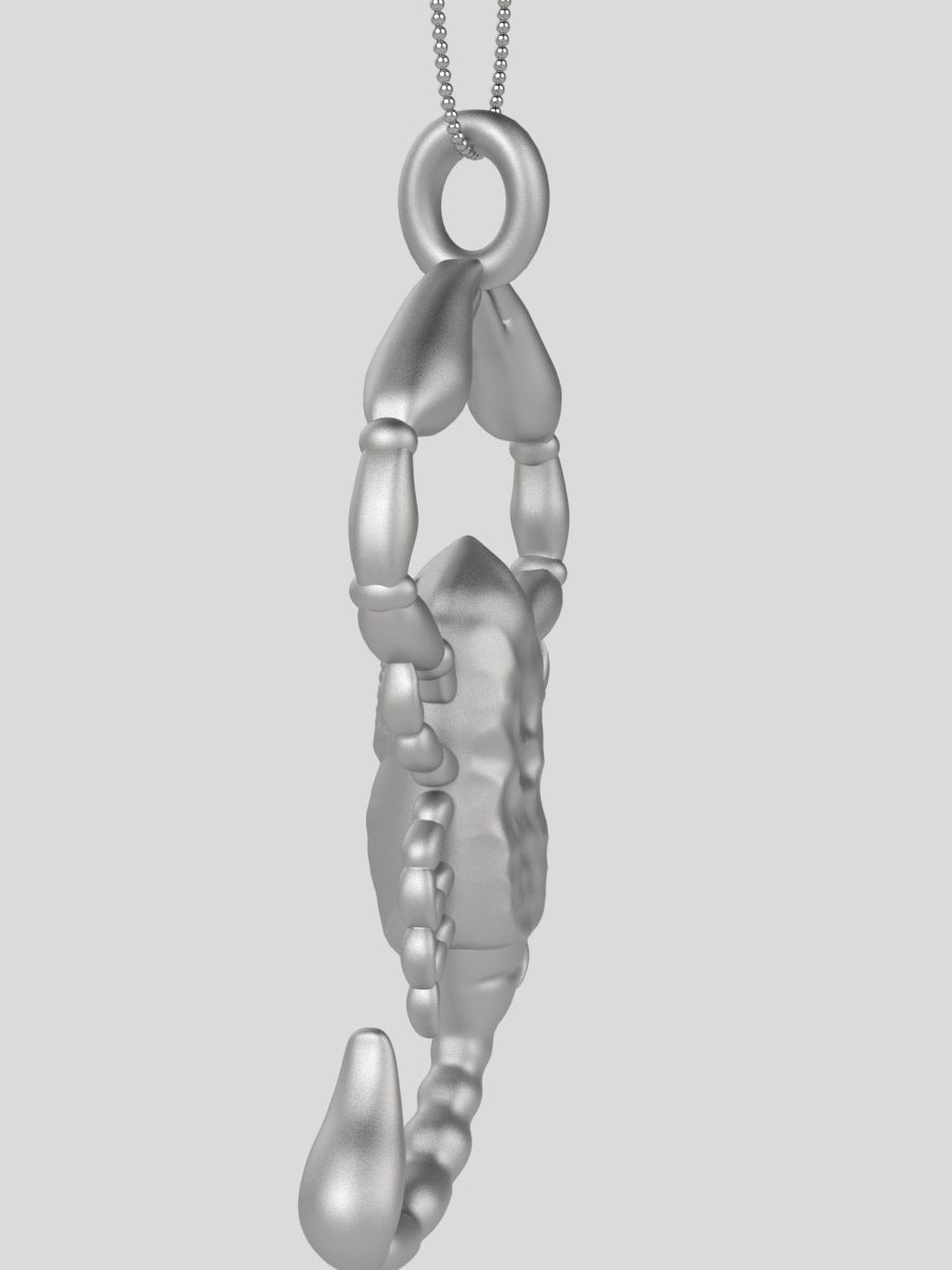 Zodiac Scorpio 3D print model_19