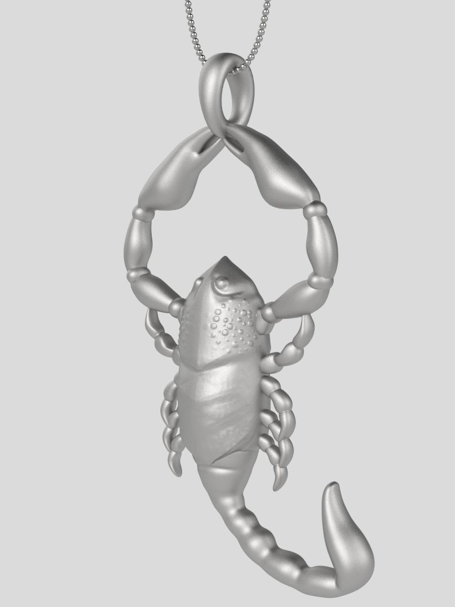 Zodiac Scorpio 3D print model_15