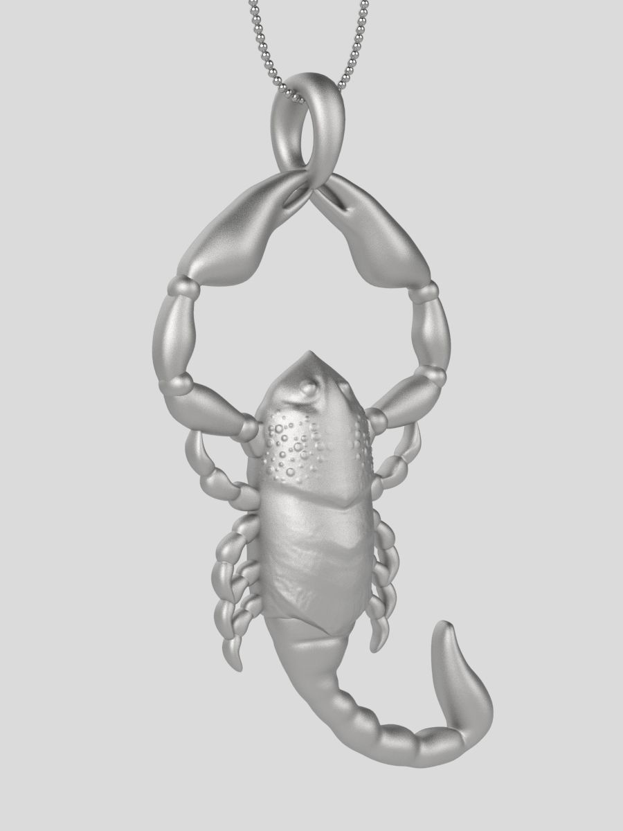 Zodiac Scorpio 3D print model_12