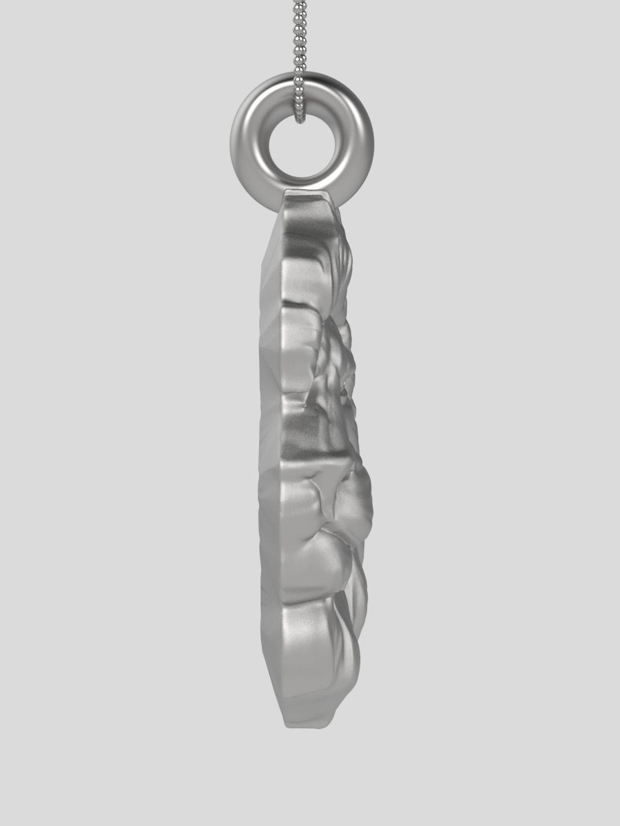 Zodiac Leo 3D print model_9