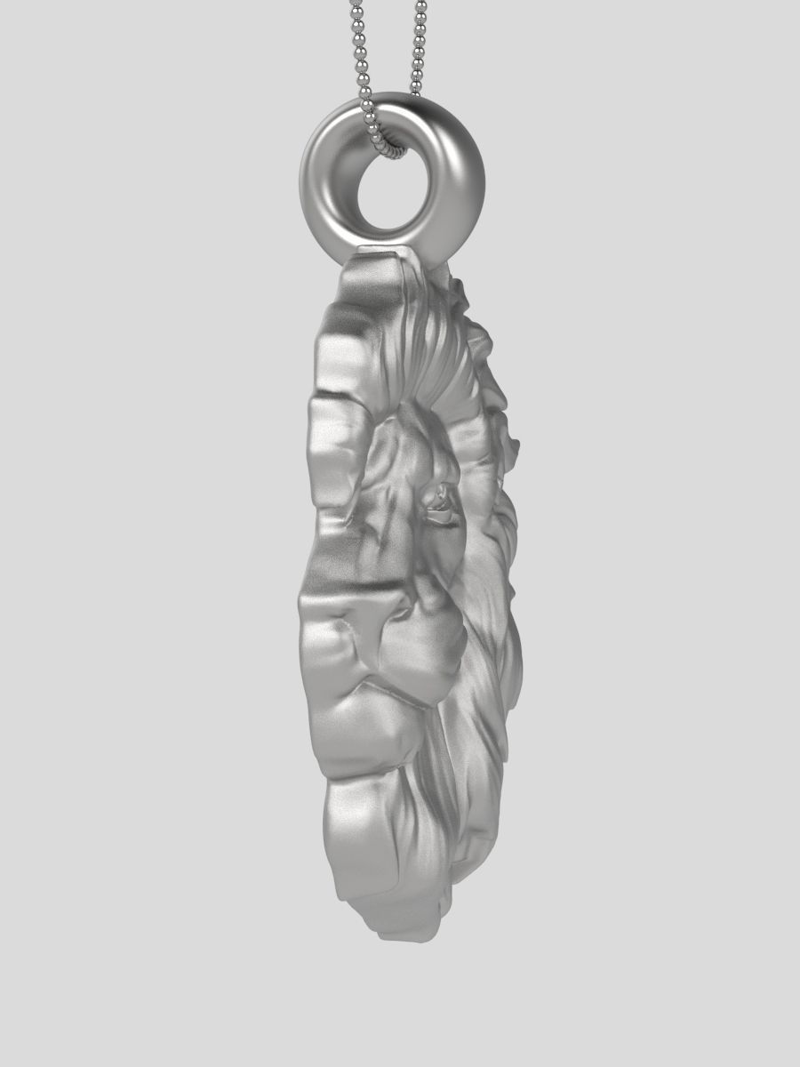 Zodiac Leo 3D print model_10