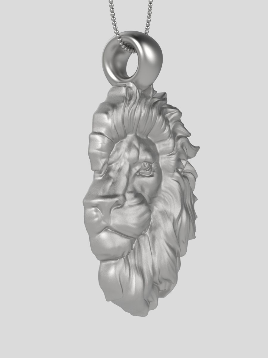 Zodiac Leo 3D print model_11