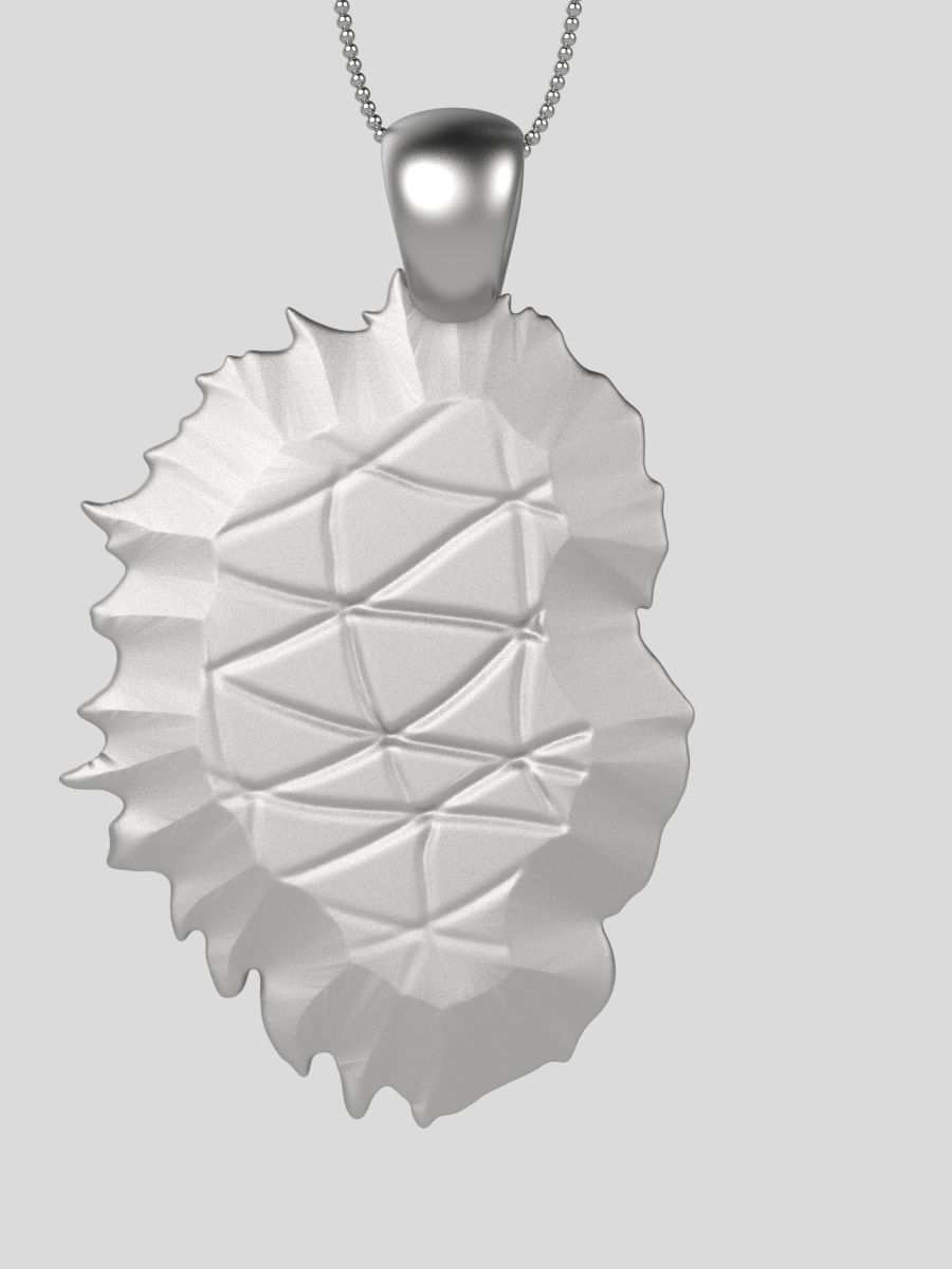 Zodiac Leo 3D print model_4