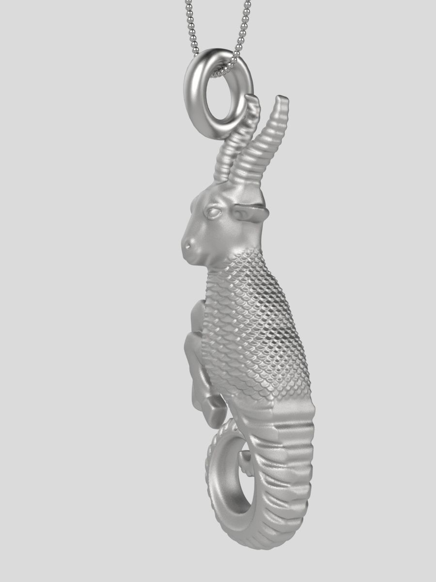 Zodiac Capricorn 3D print model_16
