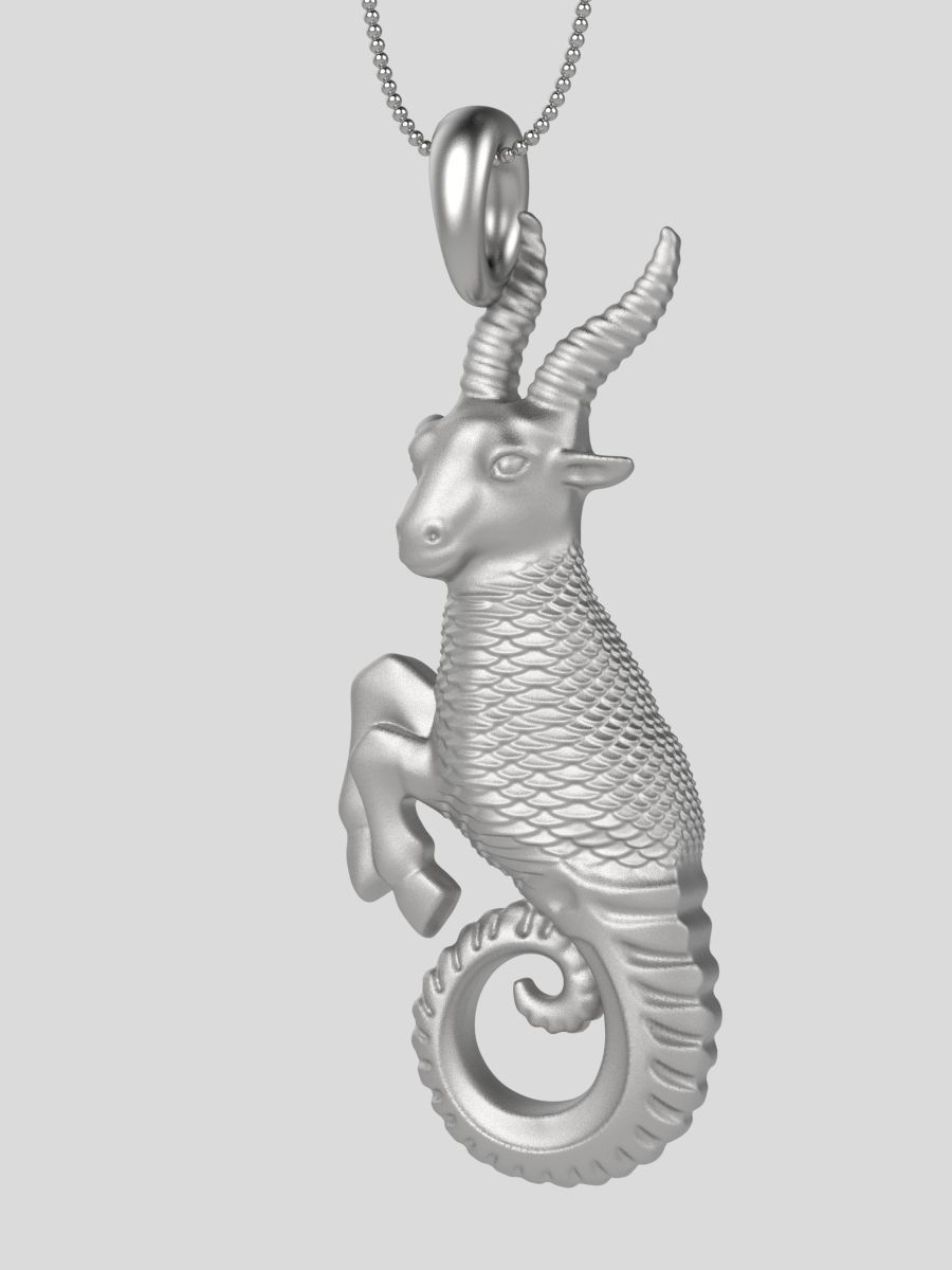 Zodiac Capricorn 3D print model_14