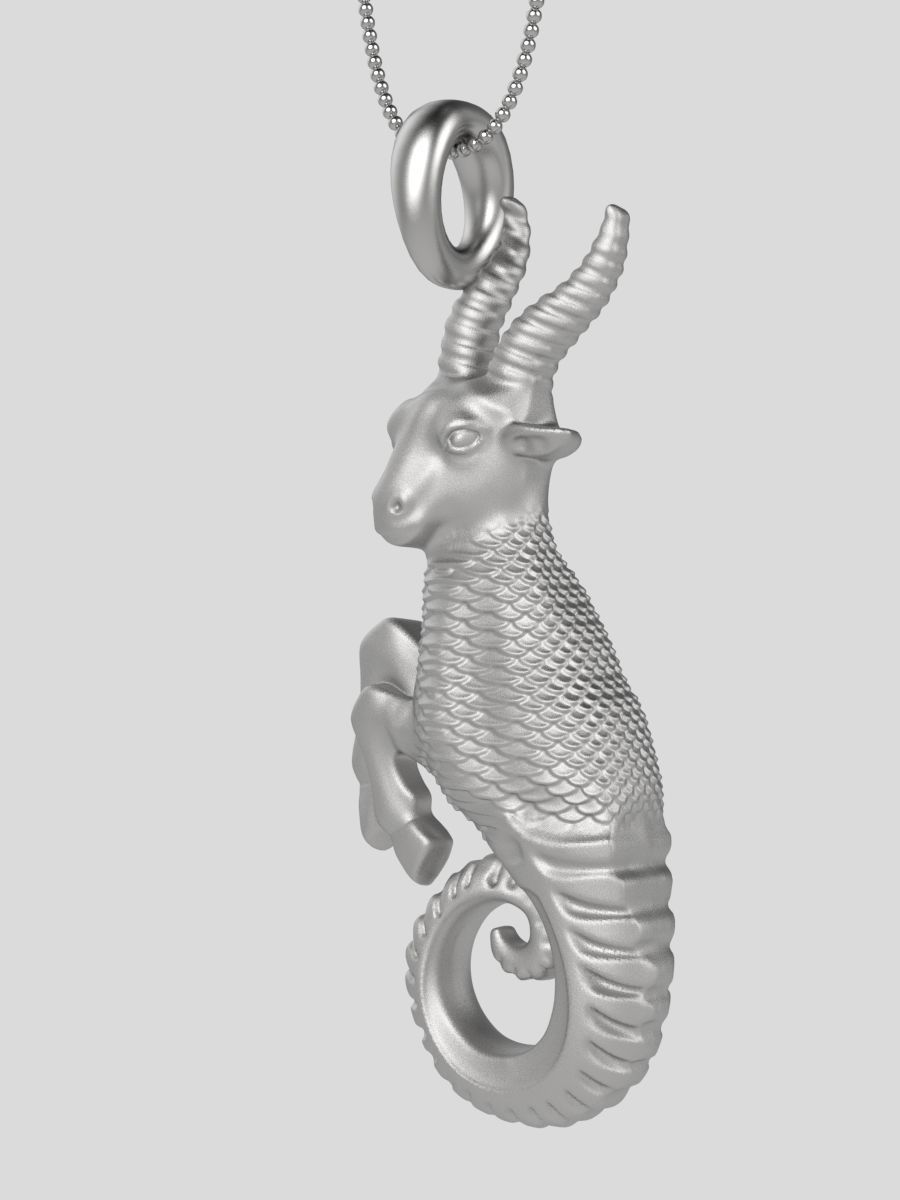 Zodiac Capricorn 3D print model_15