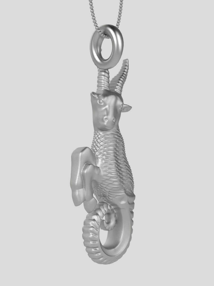 Zodiac Capricorn 3D print model_13