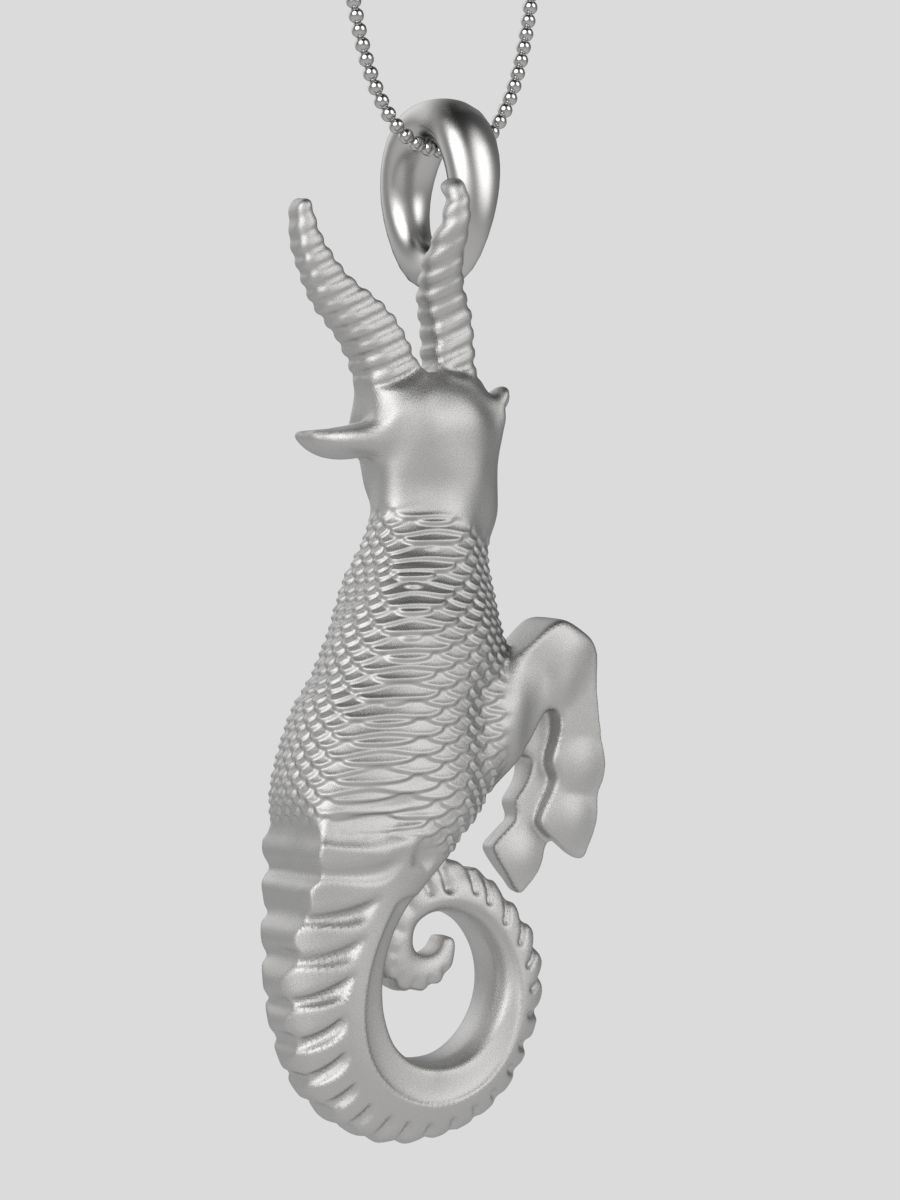 Zodiac Capricorn 3D print model_21