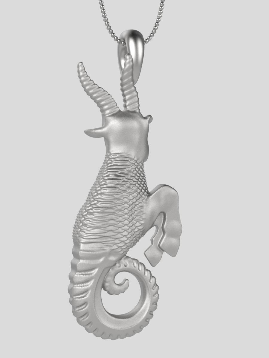 Zodiac Capricorn 3D print model_22