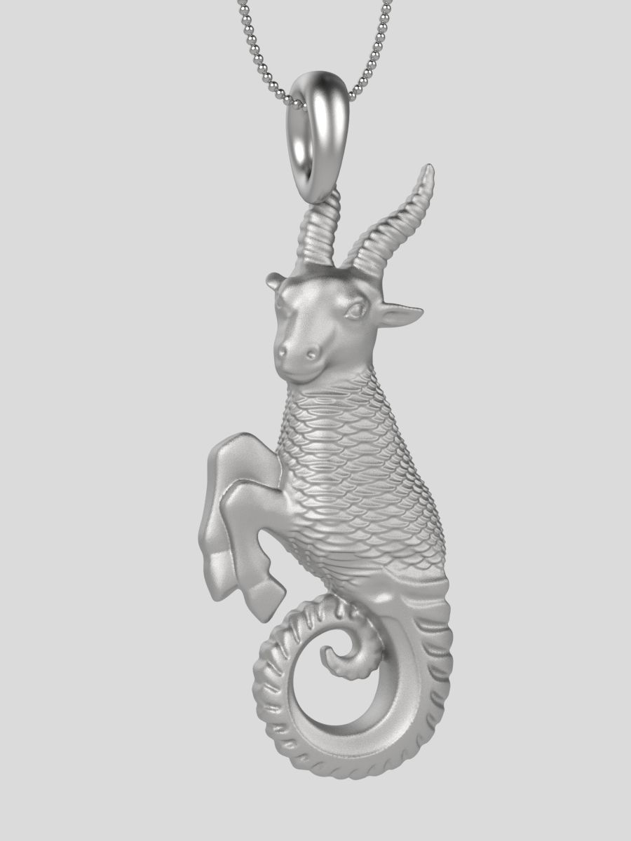 Zodiac Capricorn 3D print model_11