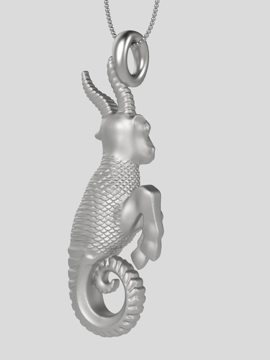 Zodiac Capricorn 3D print model_6