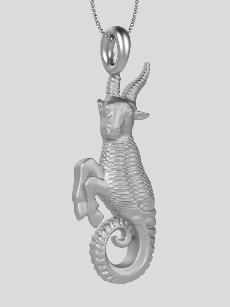 Zodiac Capricorn 3D print model_12