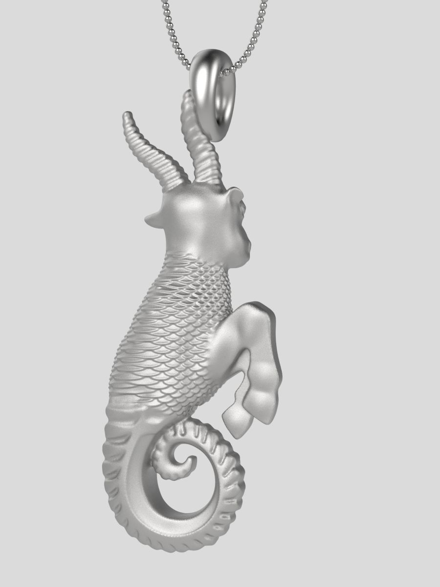Zodiac Capricorn 3D print model_5