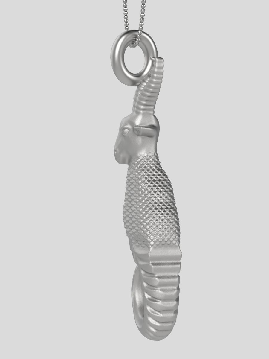 Zodiac Capricorn 3D print model_17