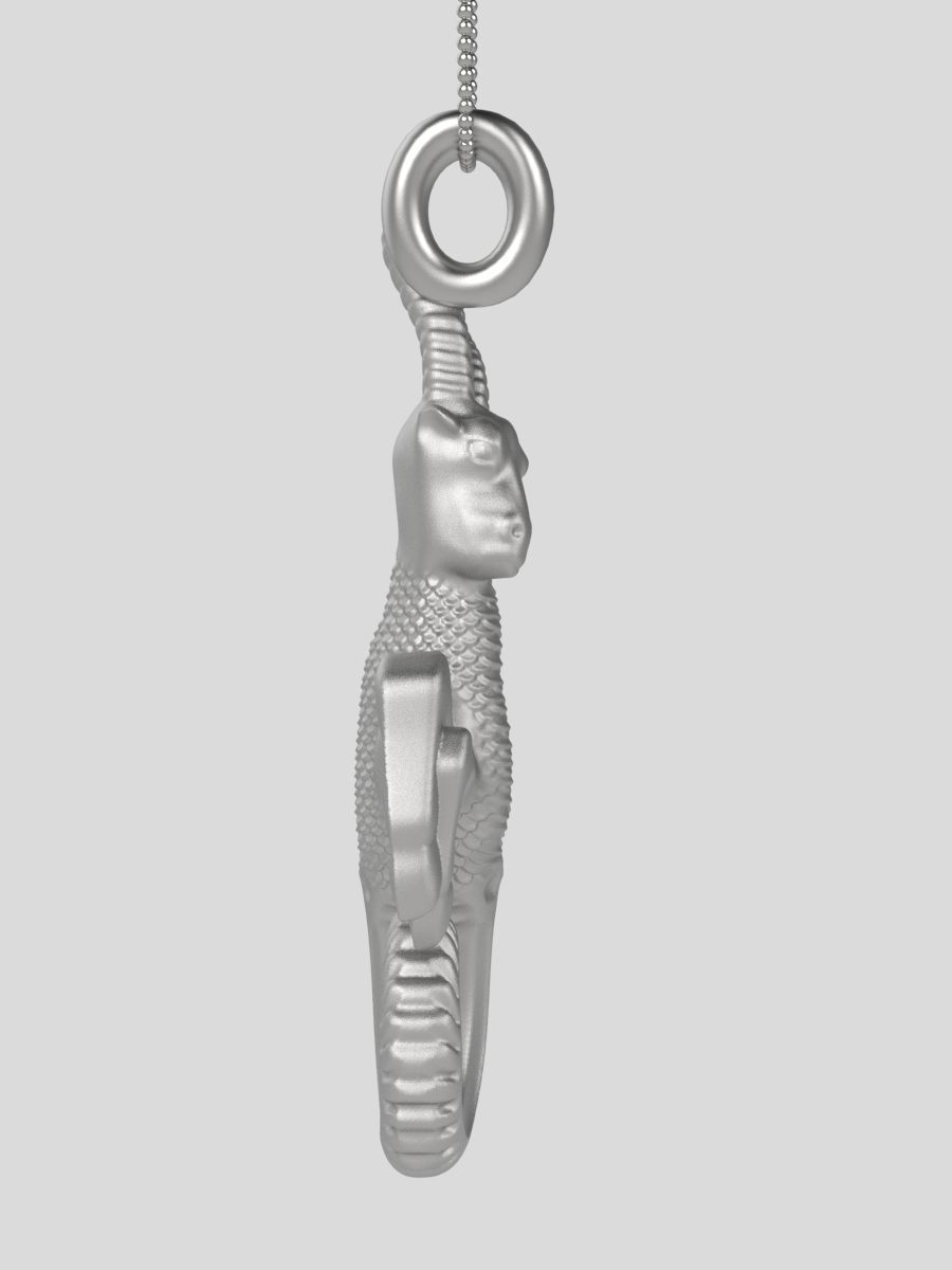 Zodiac Capricorn 3D print model_9