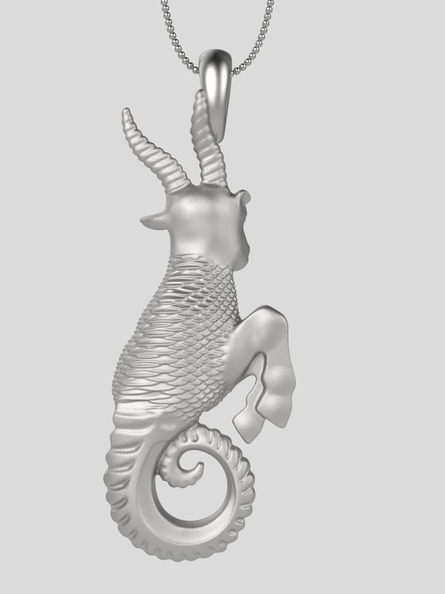 Zodiac Capricorn 3D print model_4