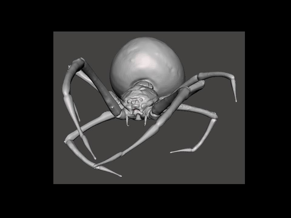 Animal Pack 01 3D Printable STL Jungle Farm Zoo Sea 3D print model_2