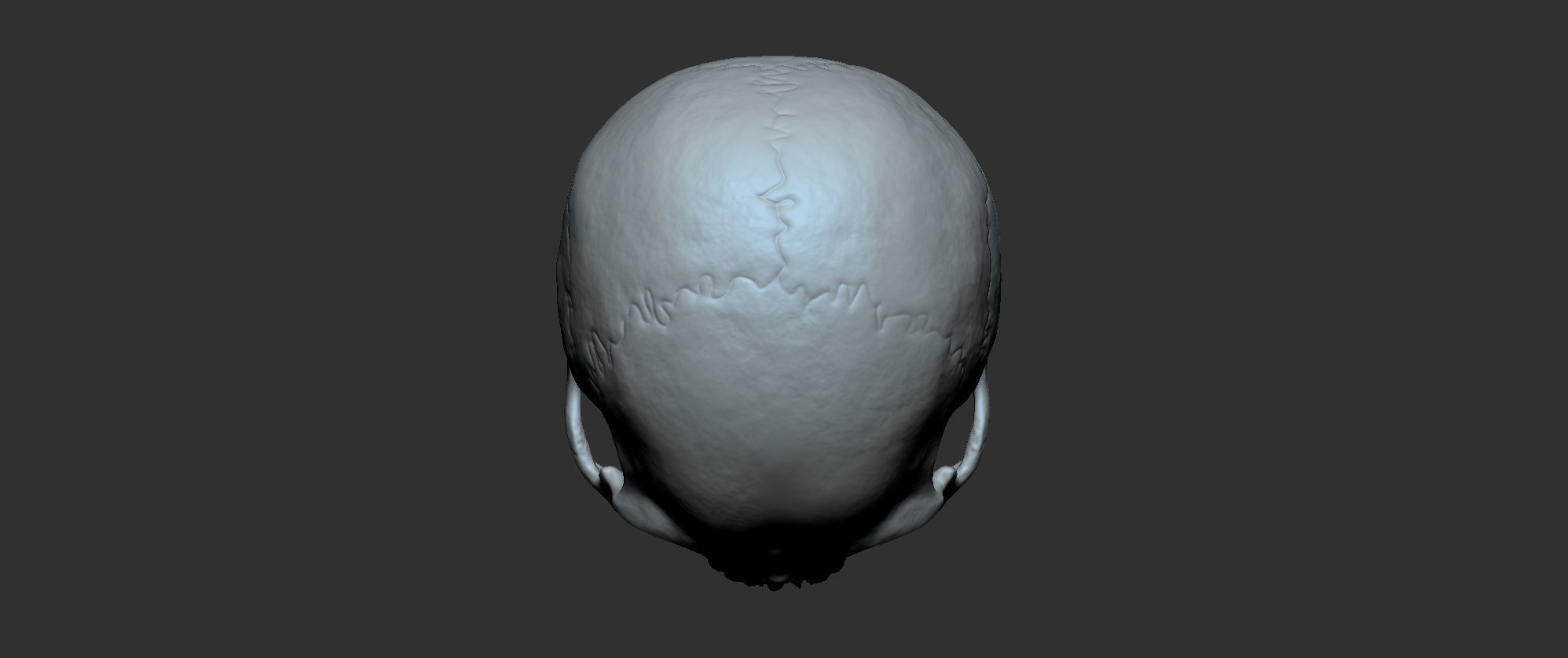 Cranium 3D print model_7