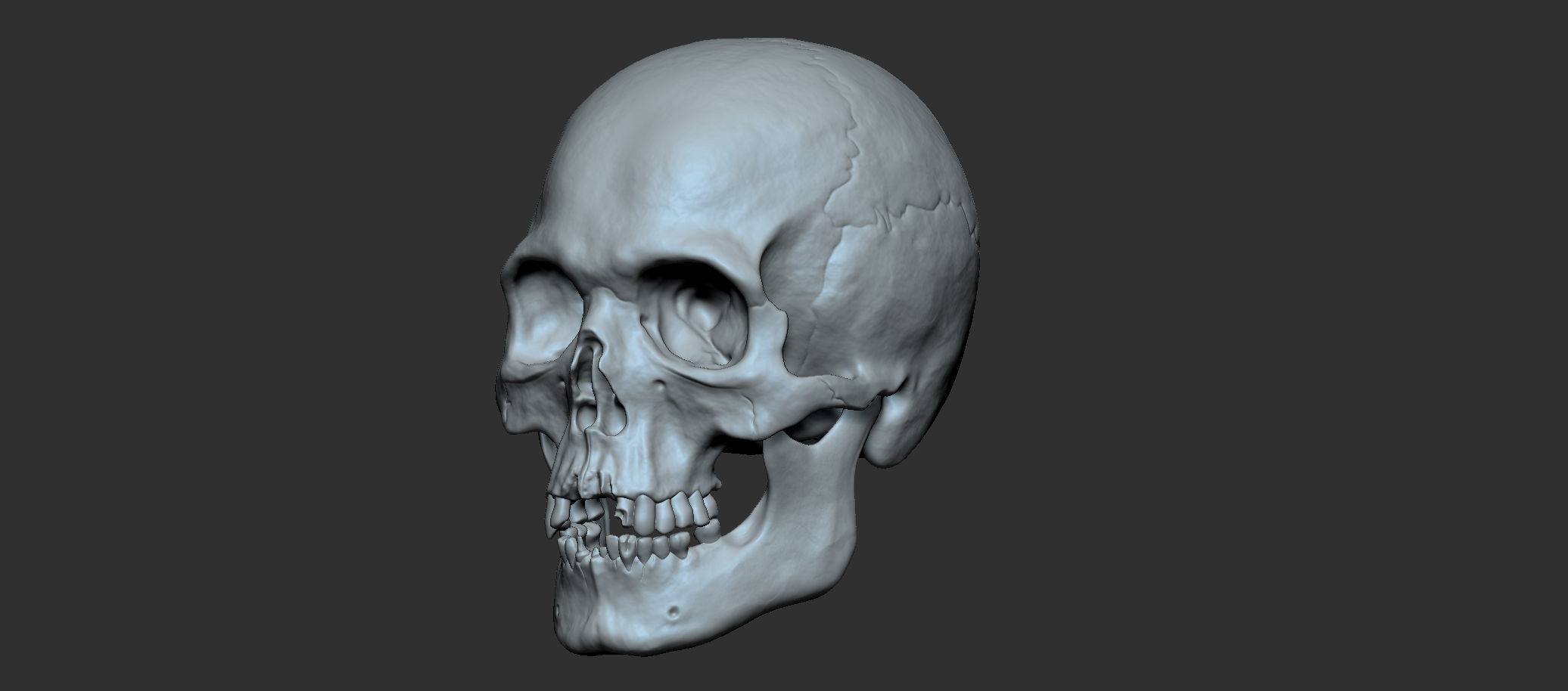 Cranium 3D print model_2