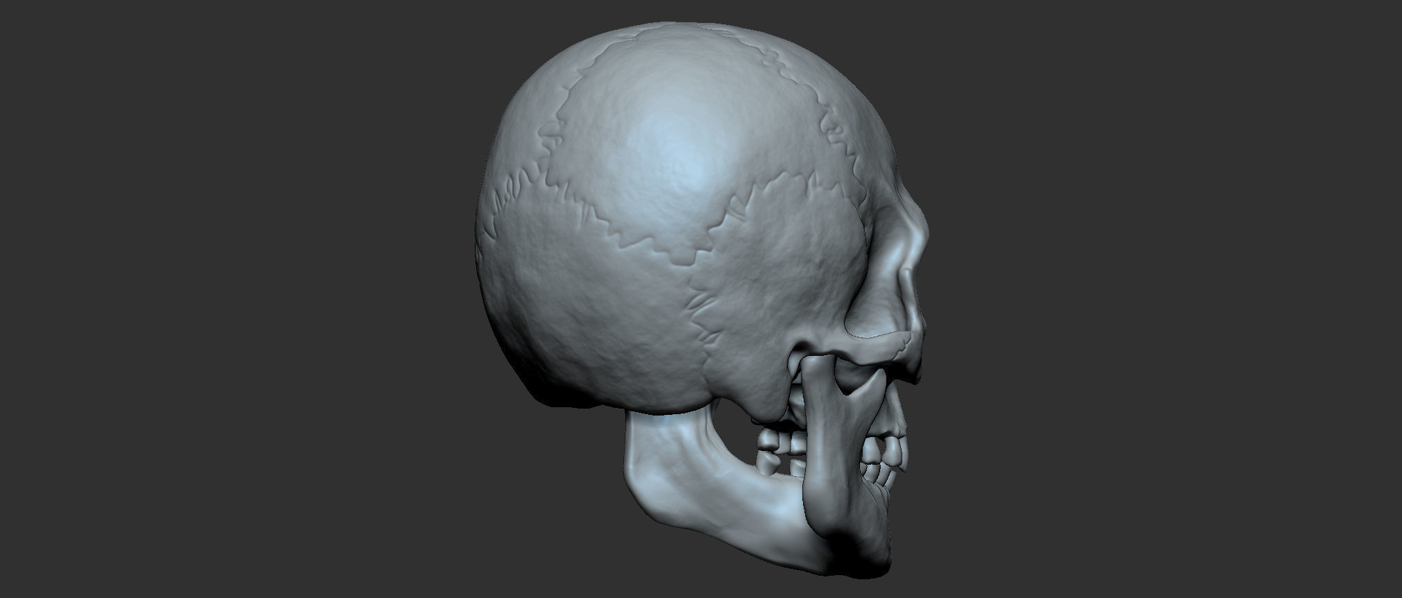 Cranium 3D print model_5