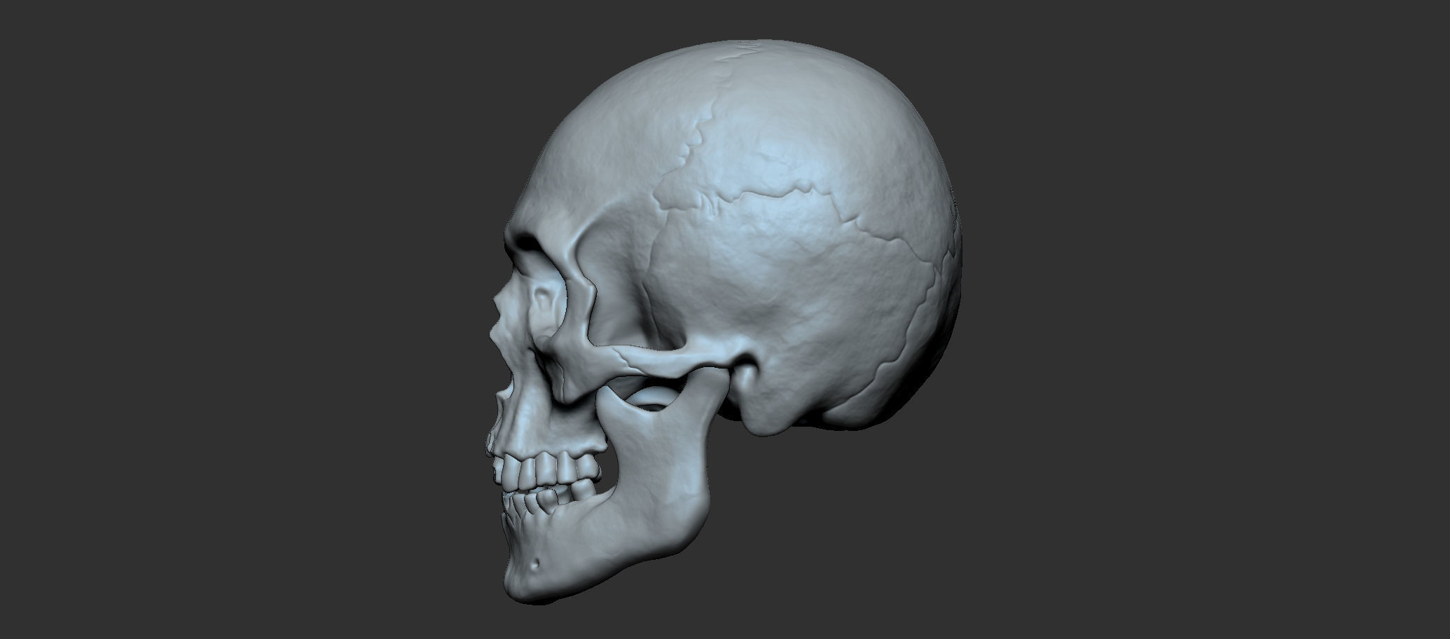 Cranium 3D print model_3