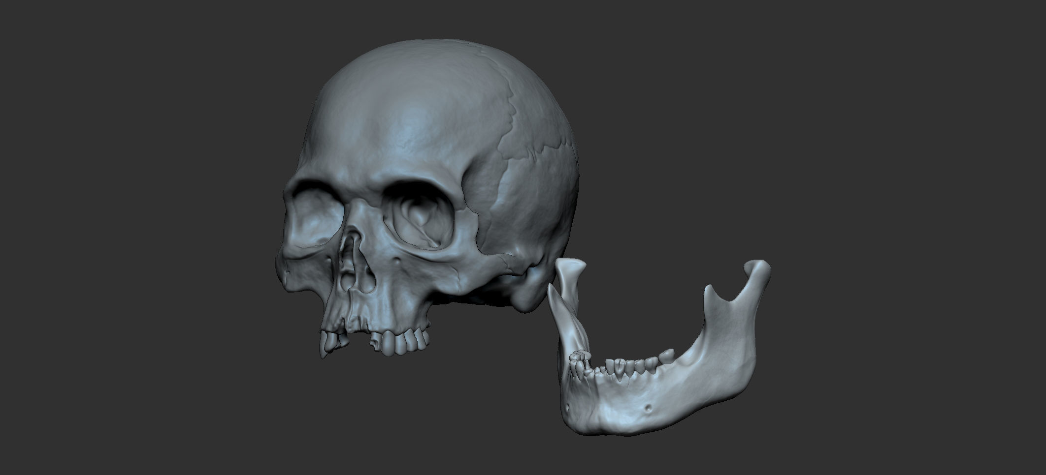 Cranium 3D print model_8
