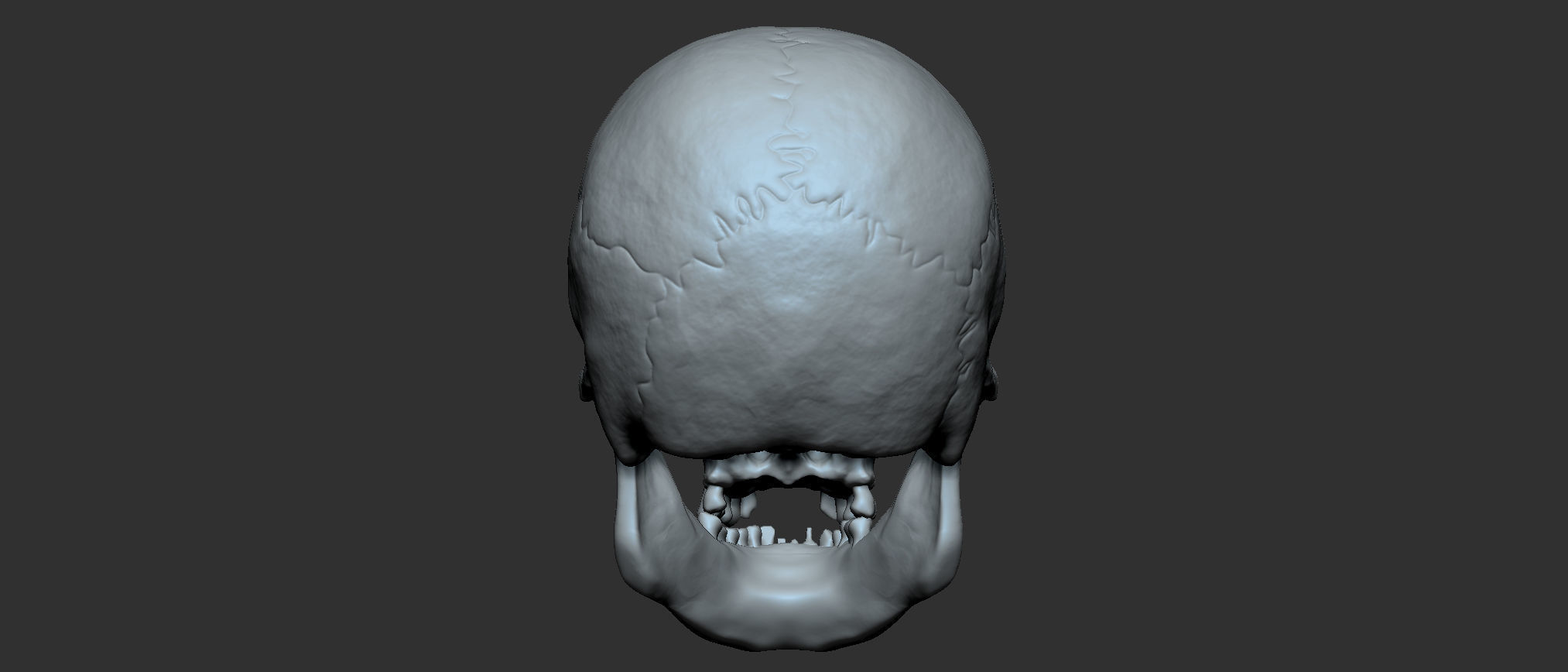 Cranium 3D print model_4