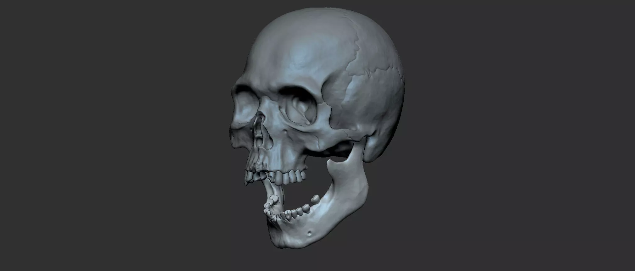 Cranium 3D print model_0