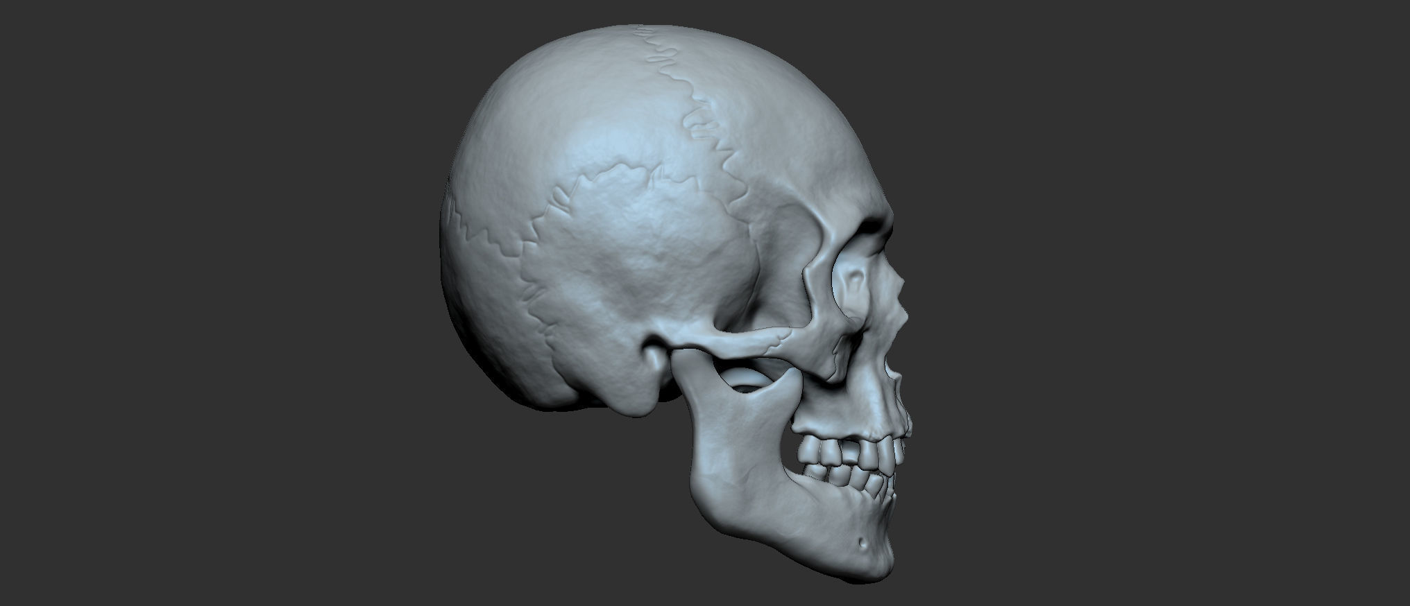 Cranium 3D print model_6