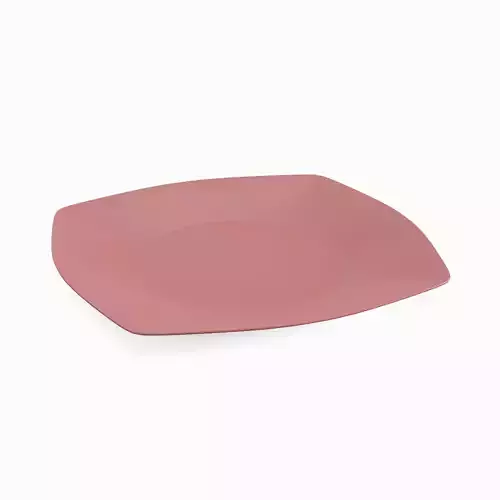 Disposable Plastic Plate A 02