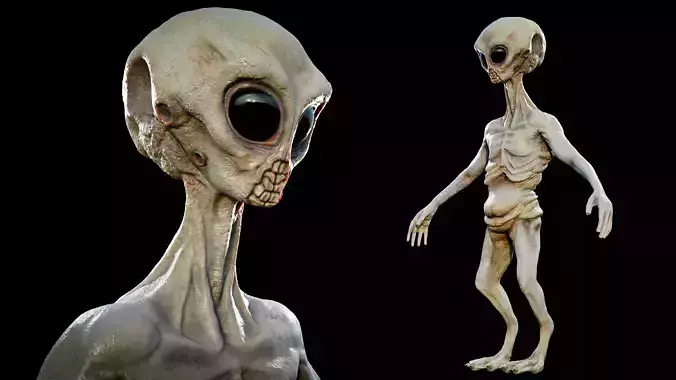 Rigged Realistic Alien 3D model