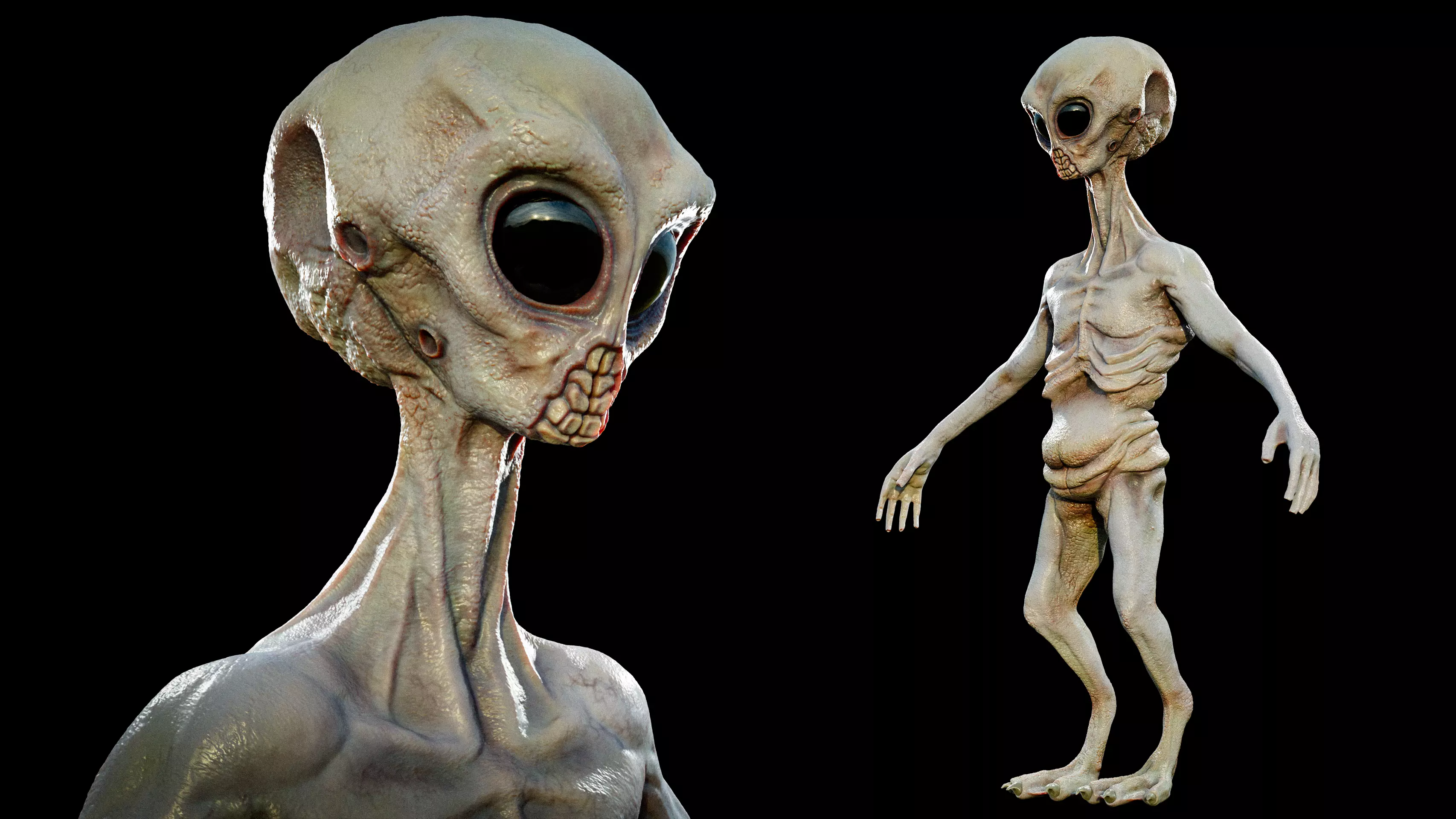 Rigged Realistic Alien 3D model_0