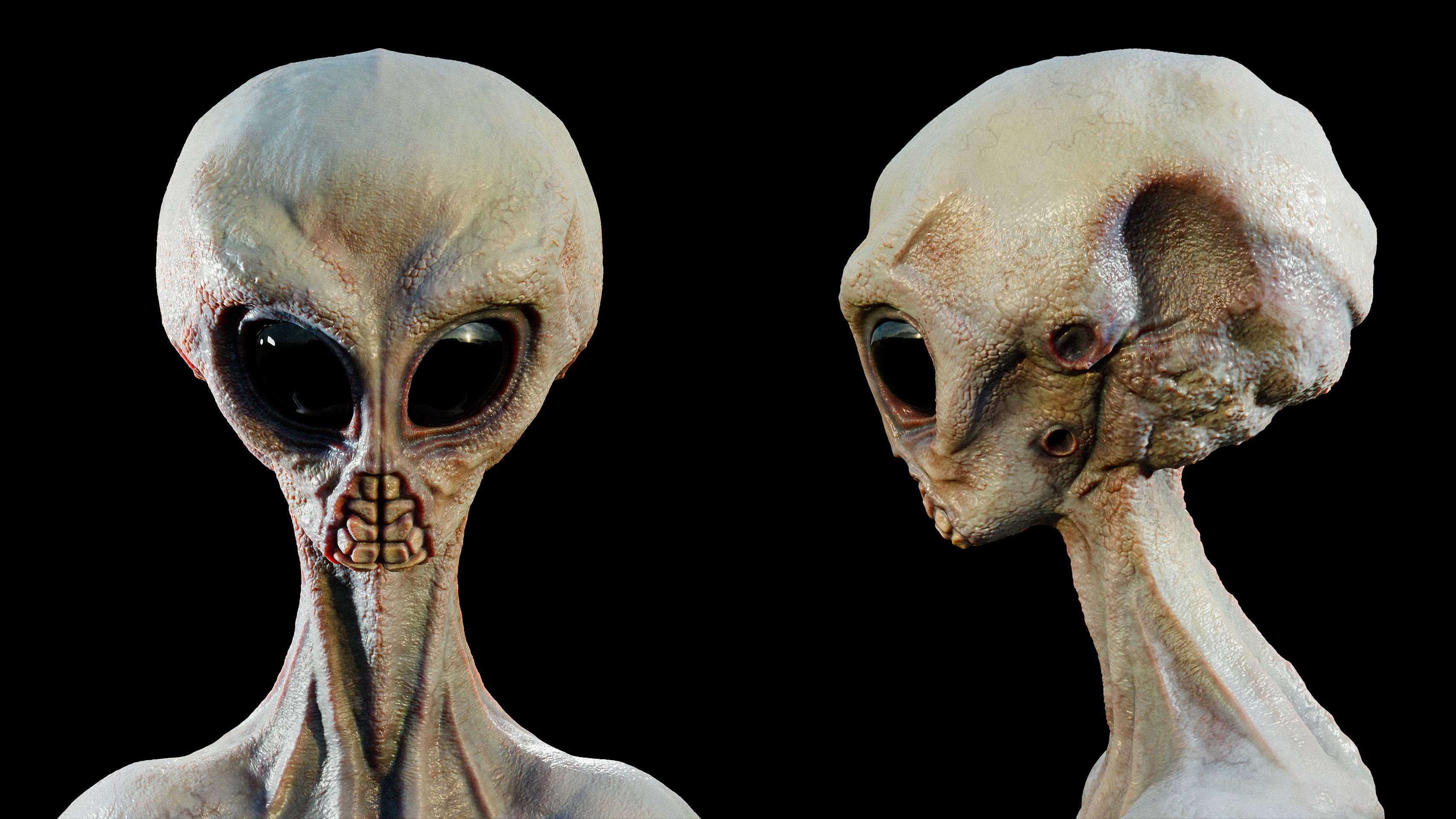 Rigged Realistic Alien 3D model_2