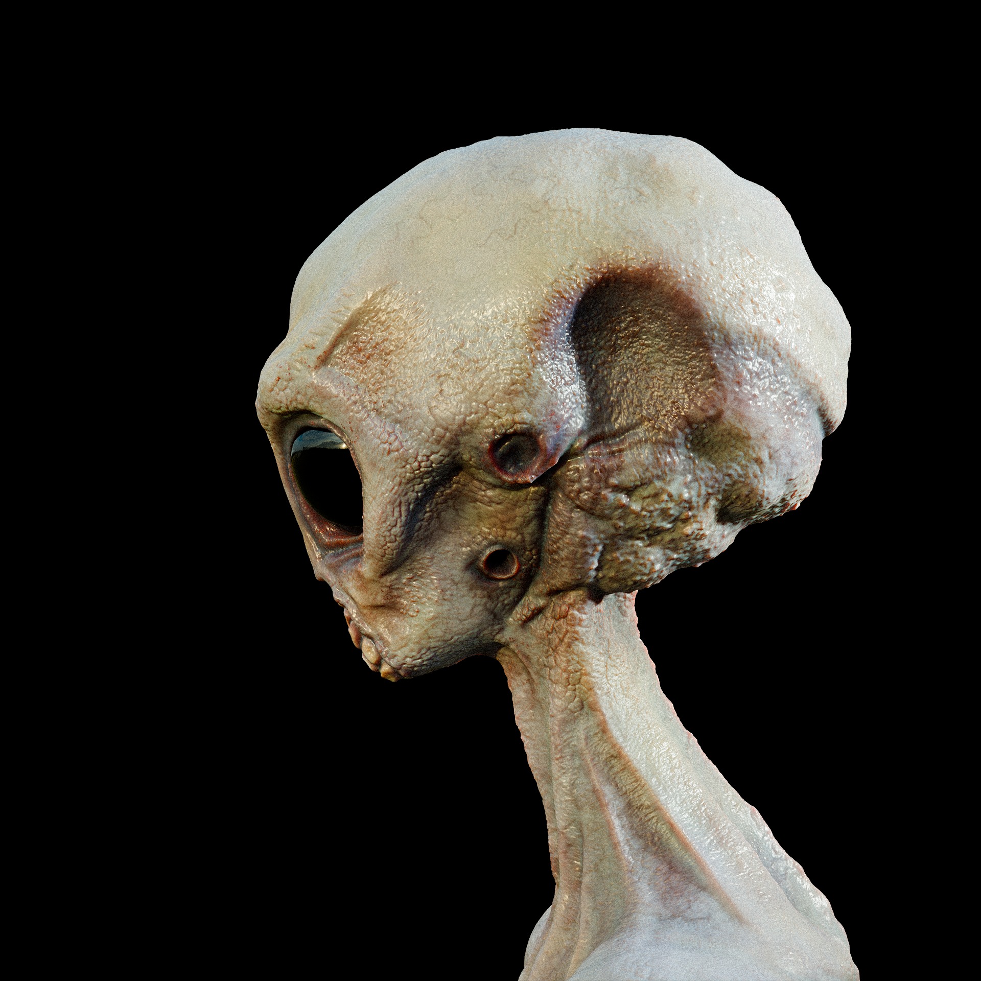 Rigged Realistic Alien 3D model_9