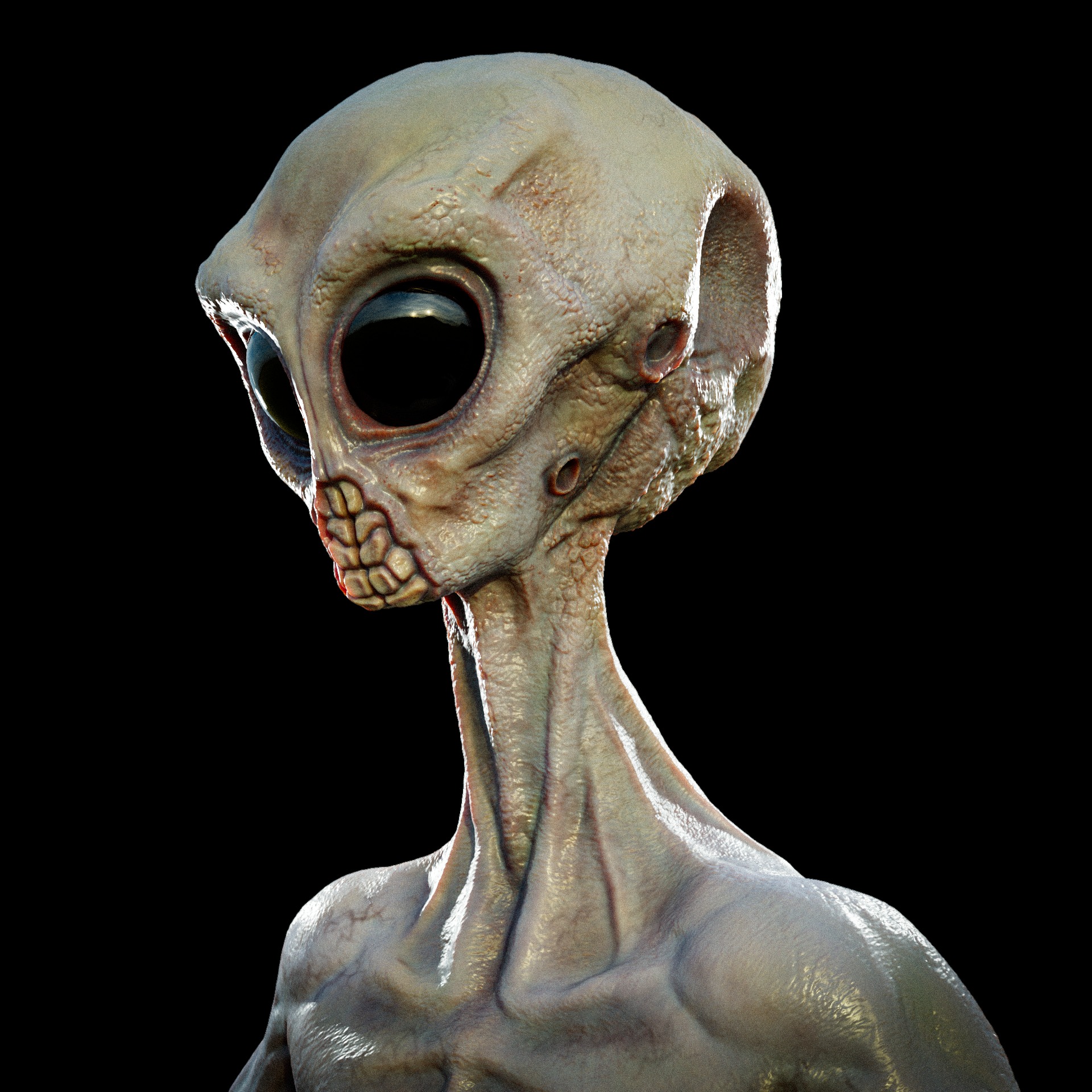 Rigged Realistic Alien 3D model_4