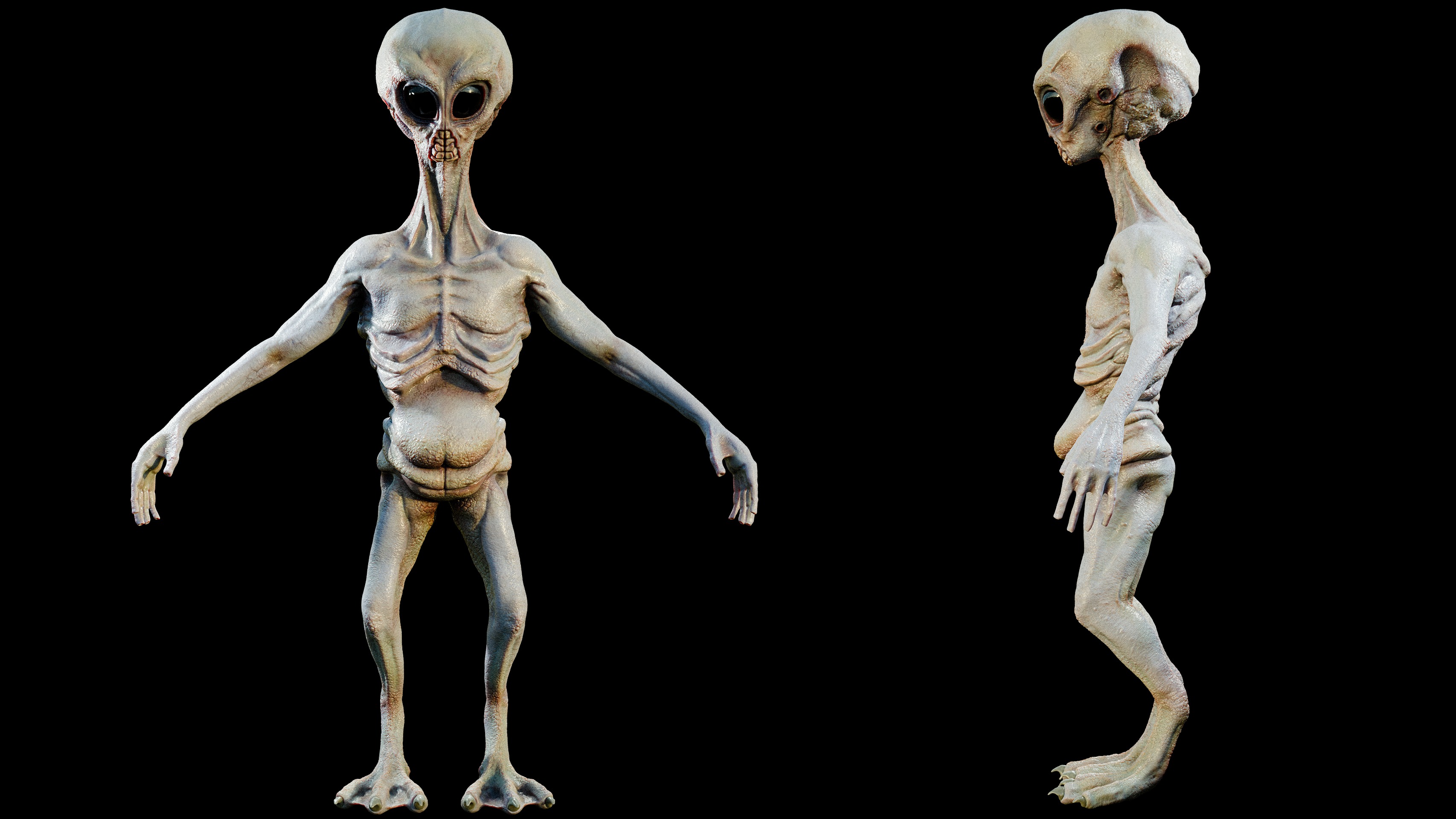 Rigged Realistic Alien 3D model_5