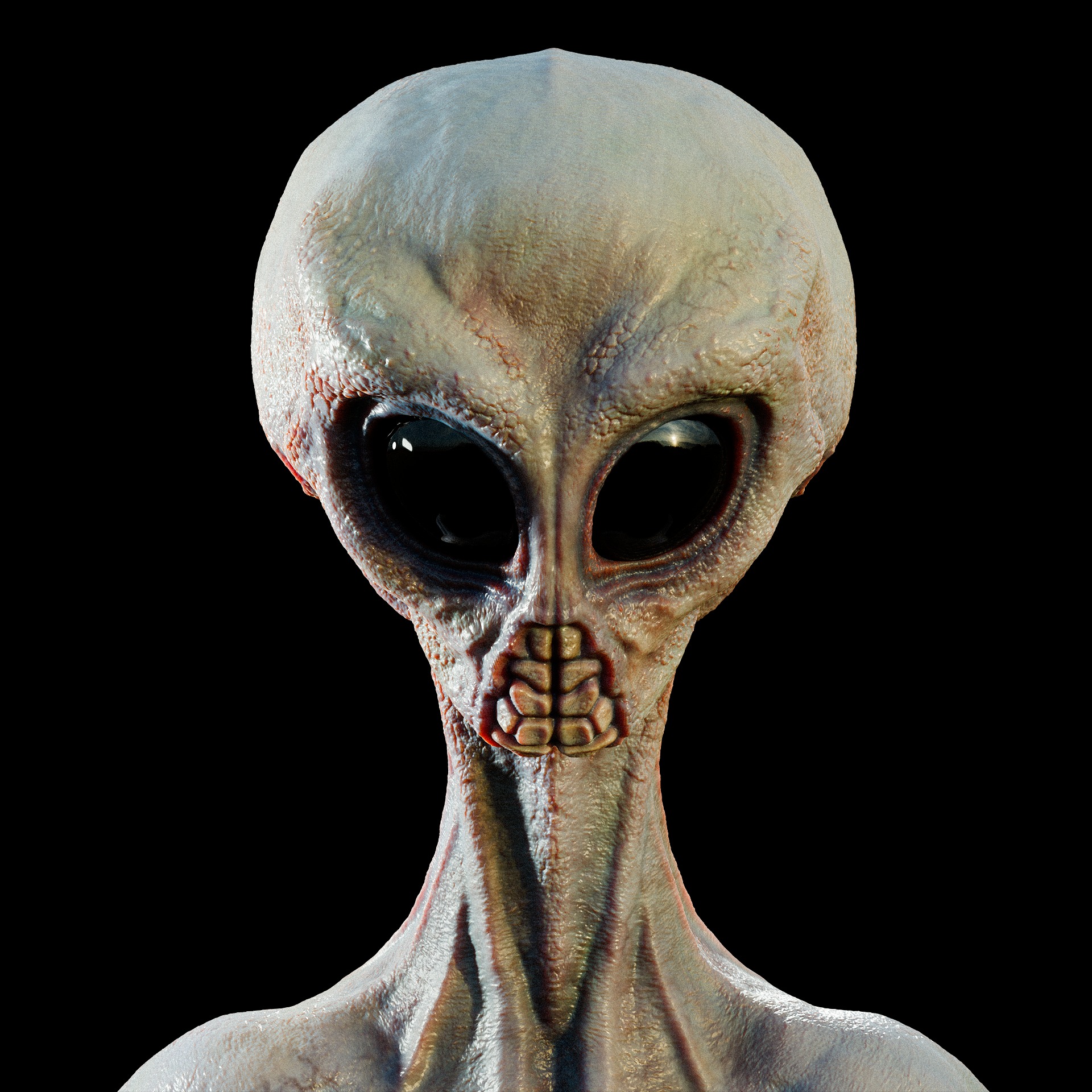 Rigged Realistic Alien 3D model_7