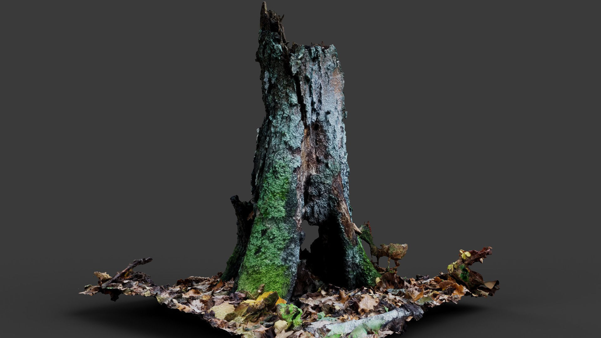 forest broken old tree rotten stump photogrammetry Low-poly 3D model_3
