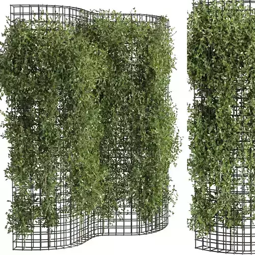 Ivy on Fence waves - Vertical Garden - Green Wall 94
