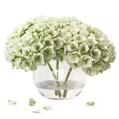Hydrangea In A Vase 3D model