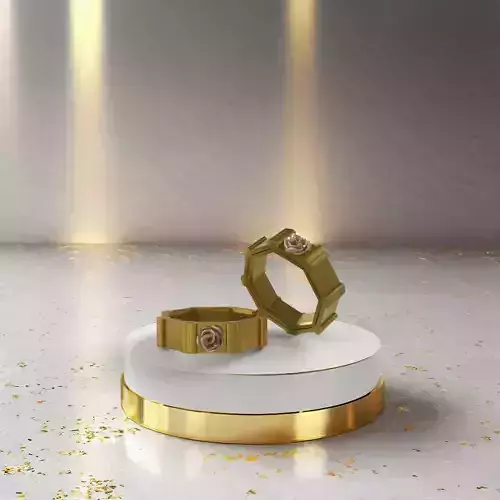 Ring model