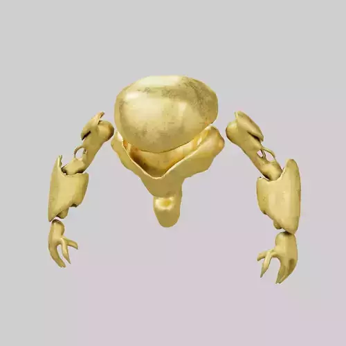 Cartoon Bot Character v1 001 Low-poly 3D model