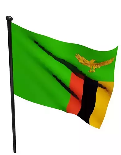 The Zambian flag 3D model