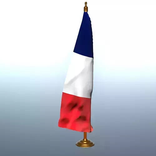 FRANCE TABLE FLAG