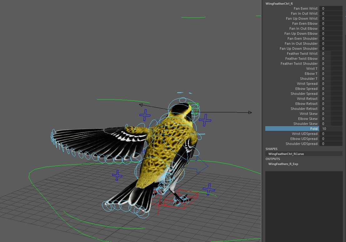 3D Bird Pack Townsends Warbler Male and Female Low-poly 3D model_38