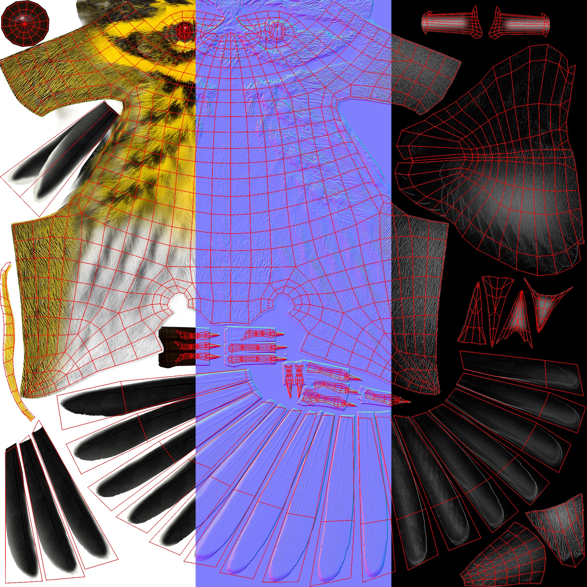 3D Bird Pack Townsends Warbler Male and Female Low-poly 3D model_39