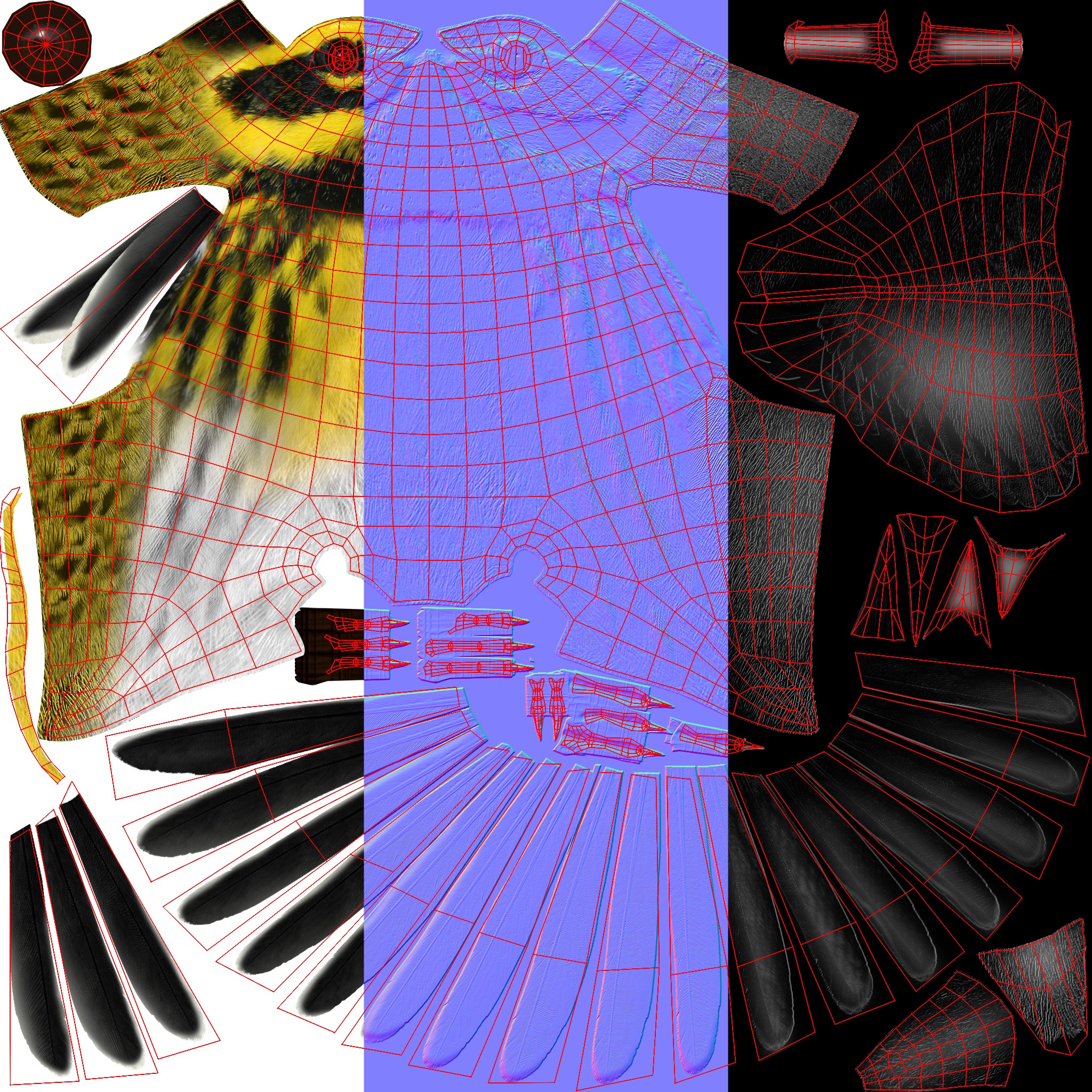 3D Bird Pack Townsends Warbler Male and Female Low-poly 3D model_40