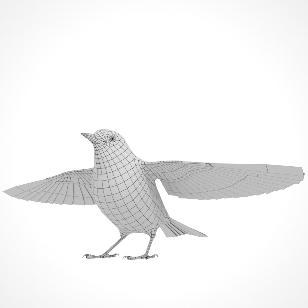 3D Bird Pack Townsends Warbler Male and Female Low-poly 3D model_34